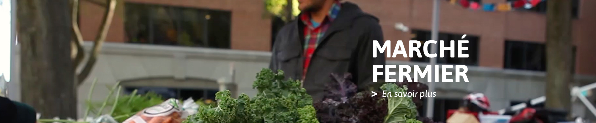marche_fermier_small.jpg